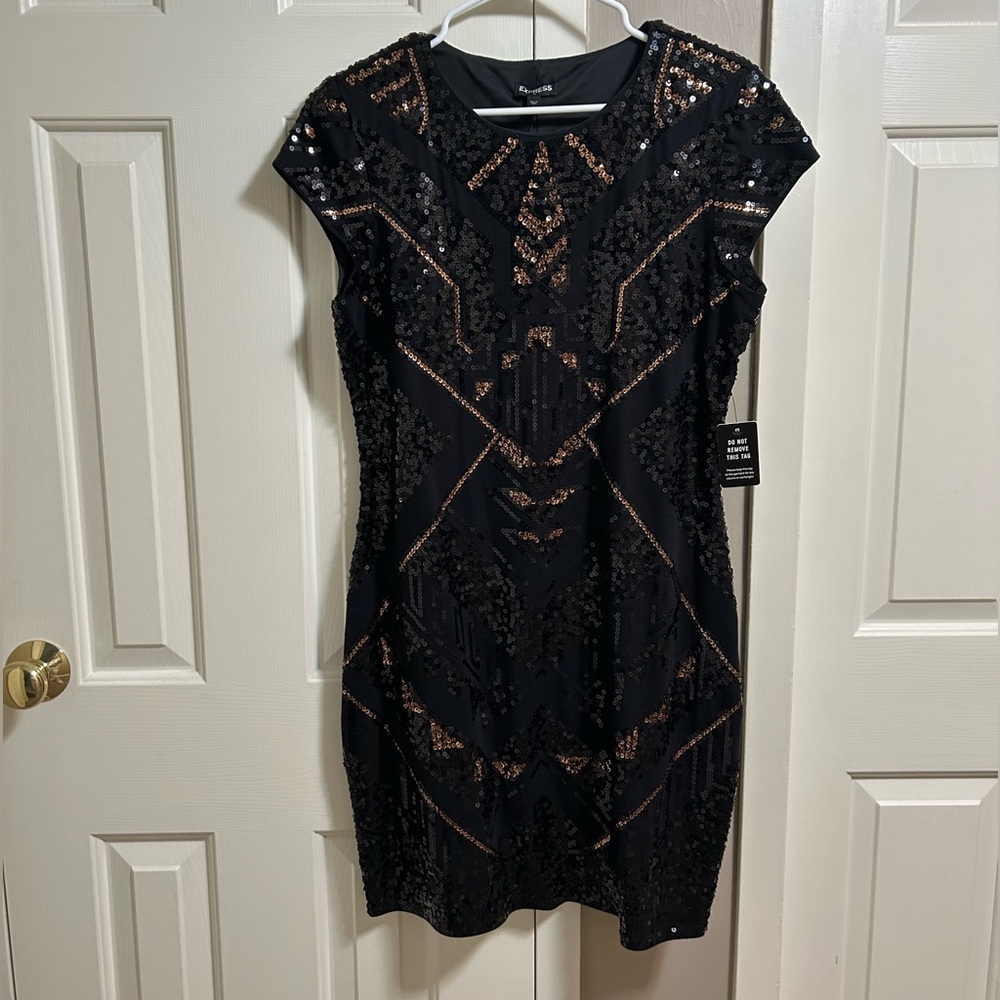 Express sequin dress. New with tags, short sleeve, mini dress, size L